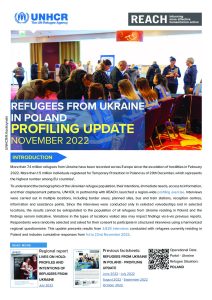 REACH Poland Protection Profiling Monthly Update November