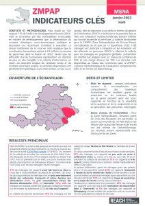 Evaluation multisectorielle des besoins (MSNA) 2022 - Résultats-clés - ZMPAP