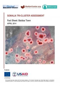 SOM_factsheet_Tri-Cluster Assessment Baidoa_13 May 2014