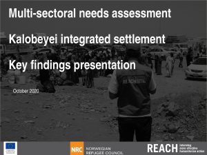 MSNA in Kalobeyei integrated settlement: key findings presentation, Kenya - October 2020