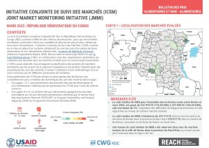 REACH RDC ICSM Factsheet Mars 2023