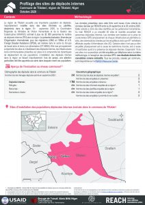 Profilage des sites de déplacés internes dans la commune de Tillabéri, région de Tillabéri, Niger – Octobre 2020