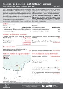 NER_Factsheet_Evaluation Protection, Intentions de Déplacement et de Retour, Gremadi, Déplacés Internes_Avril 2017