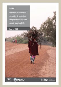 Rapport de l'évaluation protection dans la région de Diffa, Niger – Février 2020