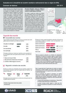 NER_Factsheet_Evaluation Cash Kablewa_Juillet 2019