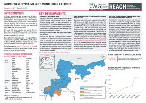 REACH Northwest Syria Market Monitoring Situation Overview, August 2020