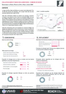 SNFI Assessment in Diffa, Communes Factsheet, Niger - January 2020