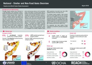 SOM_Factsheet_JMCNA_National_Shelter and Non-Food Items_August 2018
