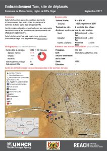 NER_Factsheet_Profil Site de Déplacés de Embranchement Tam_Septembre 2017
