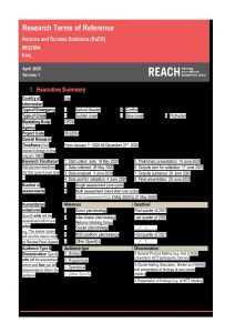 REACH IRQ TOR Returns and Durable Solutions Rapid Assessment April 2020