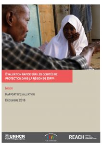 NER_Report_Evaluation Rapide sur les Comités de Protection à Diffa_December 2016