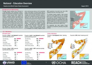 SOM_Factsheet_JMCNA_National_Education_August 2018