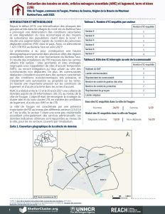 Evaluation des besoins en abris, articles ménagers essentiels (AME) et logement terre et biens (LTB) dans la ville de Tougan, Région de la Boucle du Mouhoun