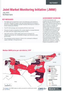 REACH Syria Northeast Factsheet JMMI July 2023
