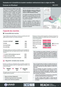 NER_Factsheet_Evaluation Cash Nguelbeyli_Juillet 2019
