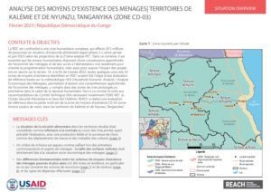 REACH_RDC_ Livelihoods Analysis_CD-03_Février 2023