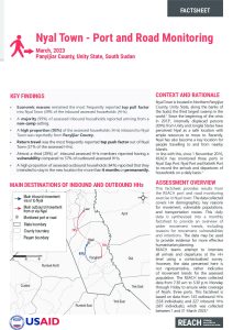 REACH SSD PRM Factsheet Nyal Town March 2023