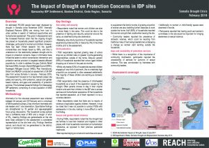 REACH_SOM_Factsheet_Protection_Assessment_Qansaxley IDP Site_Doolow
