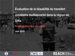 NER_Presentation_Faisabilité du Transfert Monétaire à Diffa_juin 2019