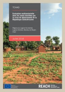 TCD_Rapport_Deplacement RCA_Sud_Juillet 2018