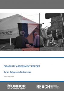 KRG - Disability Assessment Report - January 2014