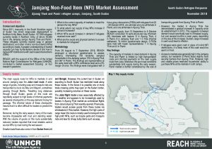 SSD_Factsheet_Jamjang_Market_Assessment