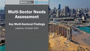 REACH Lebanon MSNA, Preliminary Findings Presentation (21-10-2022)