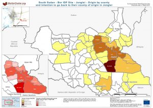SSD - Bor IDP Site - Jonglei - Origin by county and intention to go back to their county of origin in Jonglei