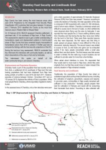 SSD_Profile_Rapid Assessment Chandioy_February 2018