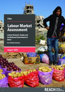 REACH Libya Labour Market Assessment - UBARI Key Findings Report