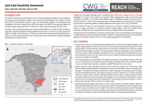 NGA_SituationOverview_Joint_Cash_Feasibility_Assessment_Gujba_February2018