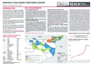 REACH Northeast Syria Market Monitoring Situation Overview, August 2020