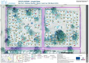 SSD_map_Jonglei_BorPoCAddressesBlock1and2_13Mar2015_A3