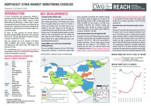 REACH Northeast Syria Market Monitoring Situation Overview, March 2020