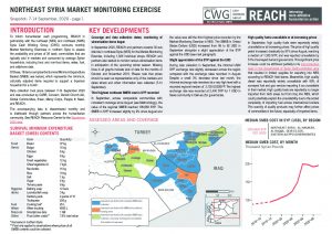 Northeast Syria Market Monitoring Situation Overview, September 2020