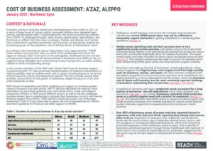 REACH Northwest Syria BSP TF Cost of Business Assessment Azaz, January 2023