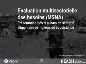 Evaluation multisectorielle des besoins (MSNA) 2020 au Niger, présentation des résultats en sécurité alimentaire - Octobre 2020