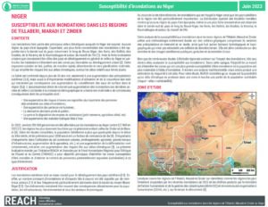 NER2203-Flooding ad hoc thematic assessment