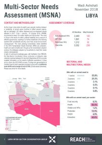 REACH_LBY_Factsheet_MSNA_Wadi Ashshati_November 2018