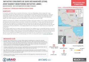 REACH_RDC_Factsheet_ICSM_ analyse_rapide février2023