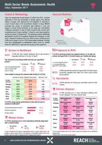 LBY_Factsheet_MSNA Health Sector_September 2017