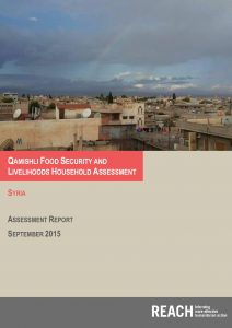 SYR_Report_Qamishli Household Needs Assessment_Aug 2015