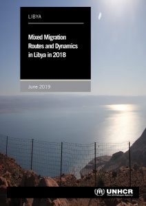 LBY_Report_Mixed migration routes and dynamics_June 2019