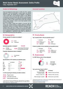 LBY_Factsheet_MSNA Sebha Profile_September 2017