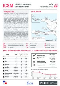 Fiche d'information de l’Initiative Conjointe de Suivi des Marchés en Haïti - 1er cycle, novembre 2020