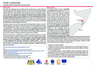 DSIRS Youth livelihoods assessment in Cadaado, Somalia - July 2019