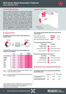 LBY_Factsheet_MSNA Protection Sector_September 2017