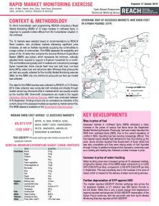 Rapid Market Monitoring in Northwest Syria - October 2019