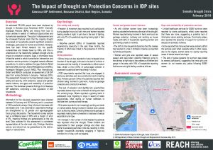 REACH_SOM_Factsheet_Protection_Assessment_Gawraca IDP Site_Bossaso